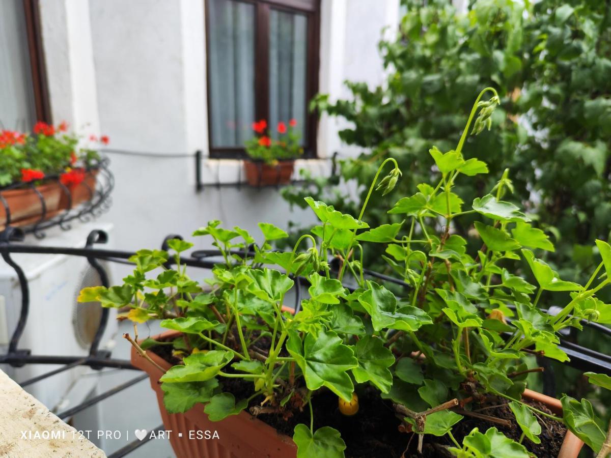 Apartament Buon Gusto,Near Main Square And Liar Bridge,Historical Side Of City Center 시비우 외부 사진