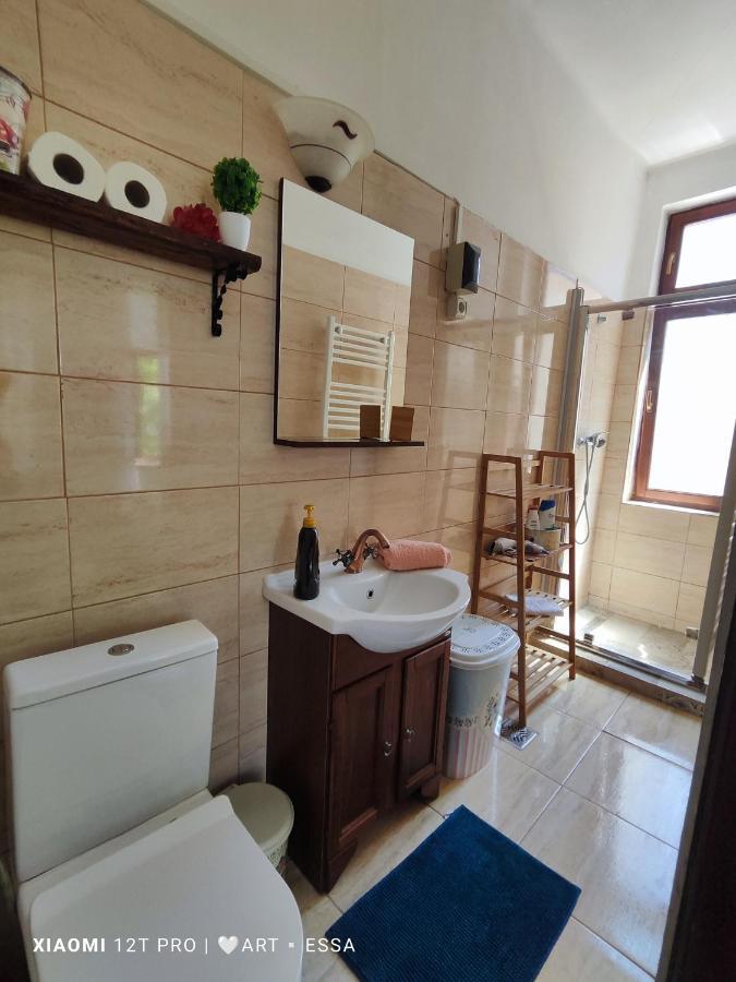 Apartament Buon Gusto,Near Main Square And Liar Bridge,Historical Side Of City Center 시비우 외부 사진